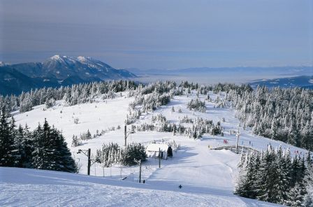Koroška regija