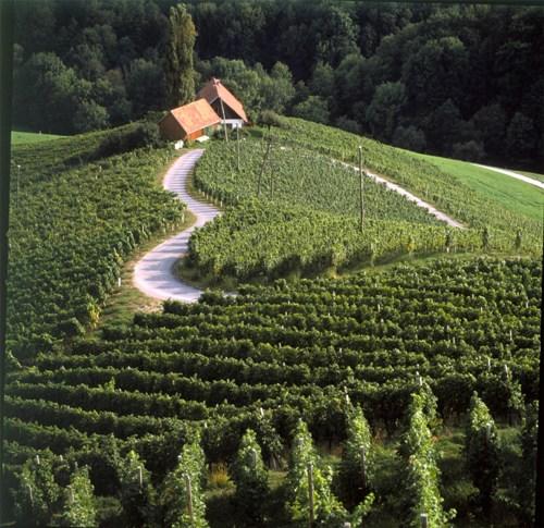 Podravska regija